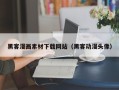 益阳黑客漫画素材下载网站（黑客动漫头像）