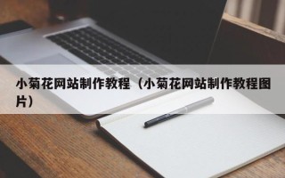 益阳小菊花网站制作教程（小菊花网站制作教程图片）