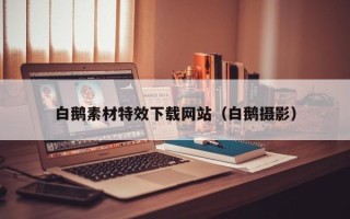 益阳白鹅素材特效下载网站（白鹅摄影）